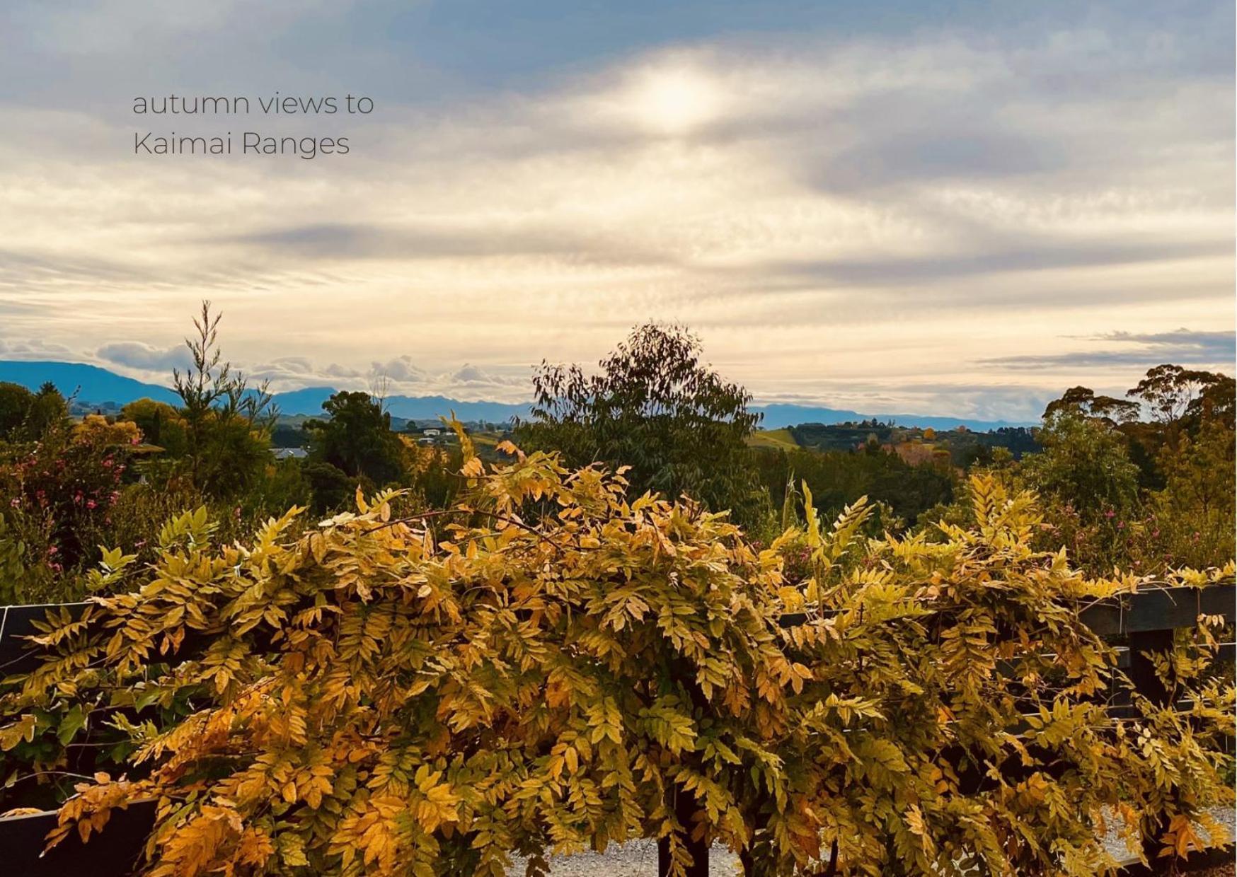 Отель Minden Meadows Retreat Тауранга Экстерьер фото